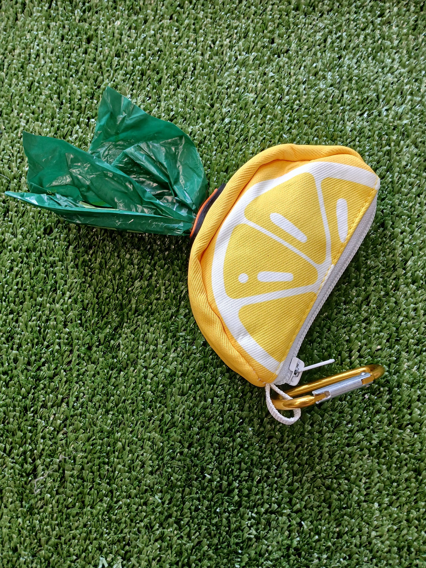 The Lemon Box